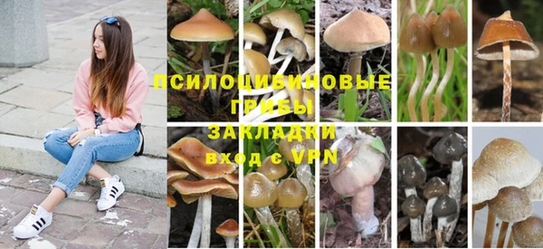 первитин Алексеевка