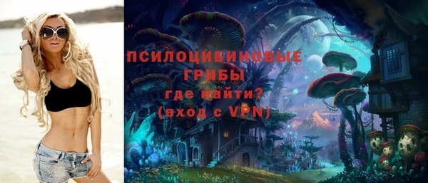 дурь Абаза