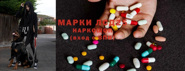 бошки Алексин