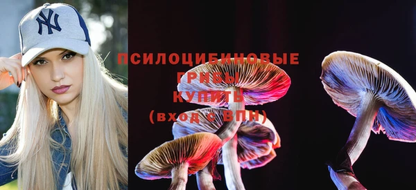 бошки Алексин