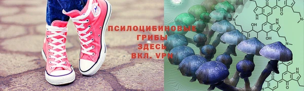 амфетамин Аркадак
