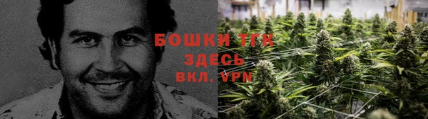 эйфоретик Армянск