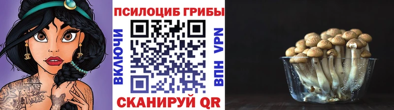 Псилоцибиновые грибы прущие грибы  даркнет сайт  blacksprut ссылки  Переславль-Залесский 