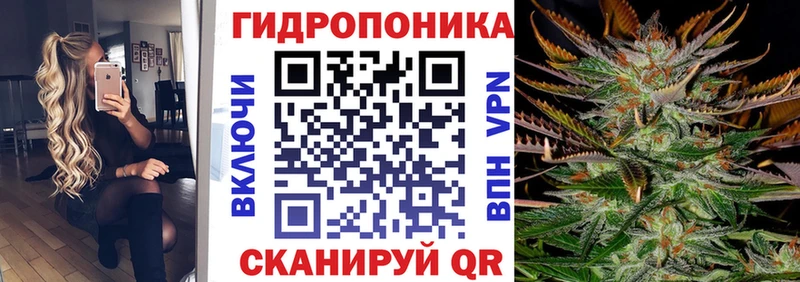 Шишки марихуана план  Переславль-Залесский 